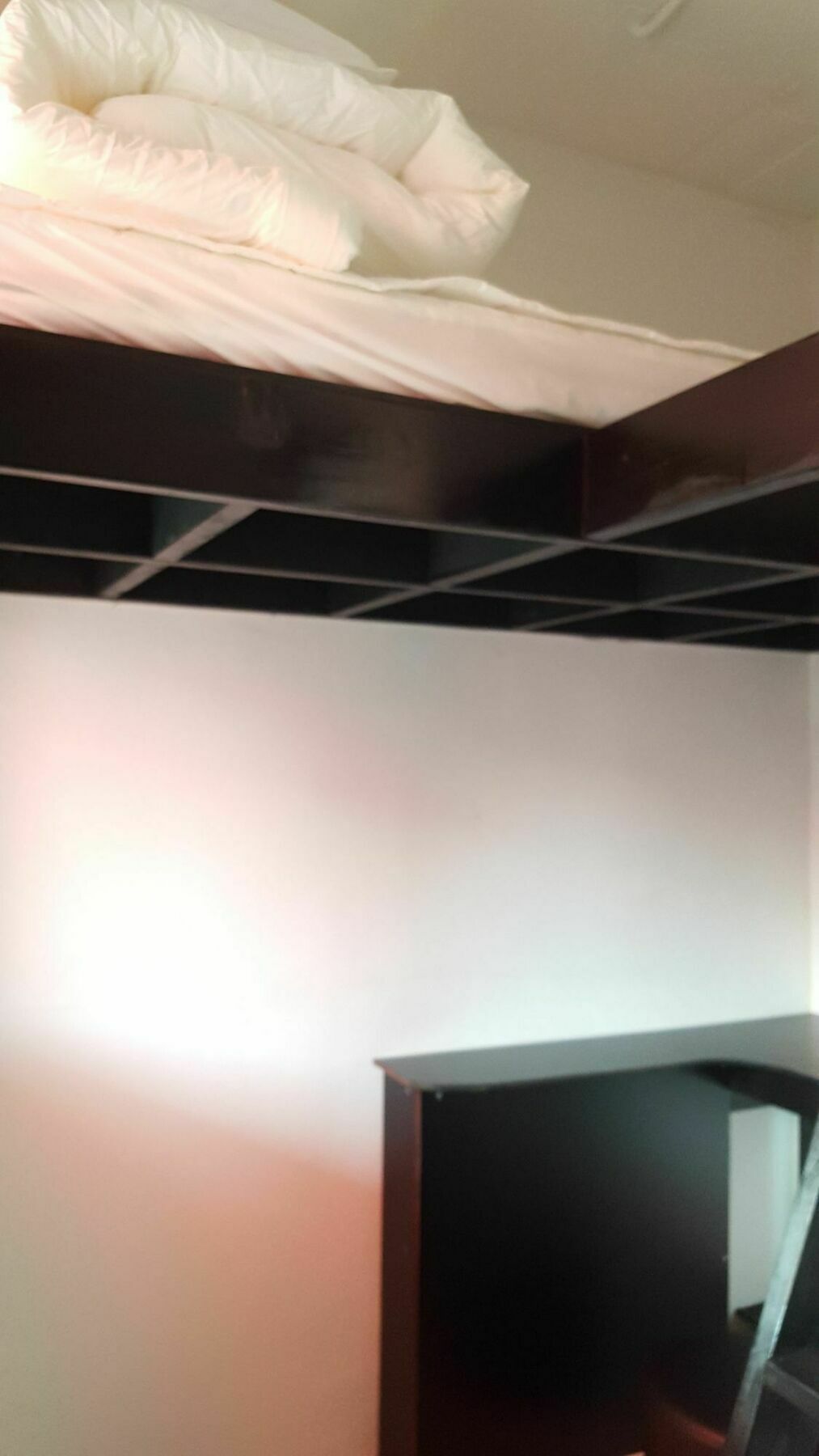 Amazon Guesthouse سيول المظهر الخارجي الصورة