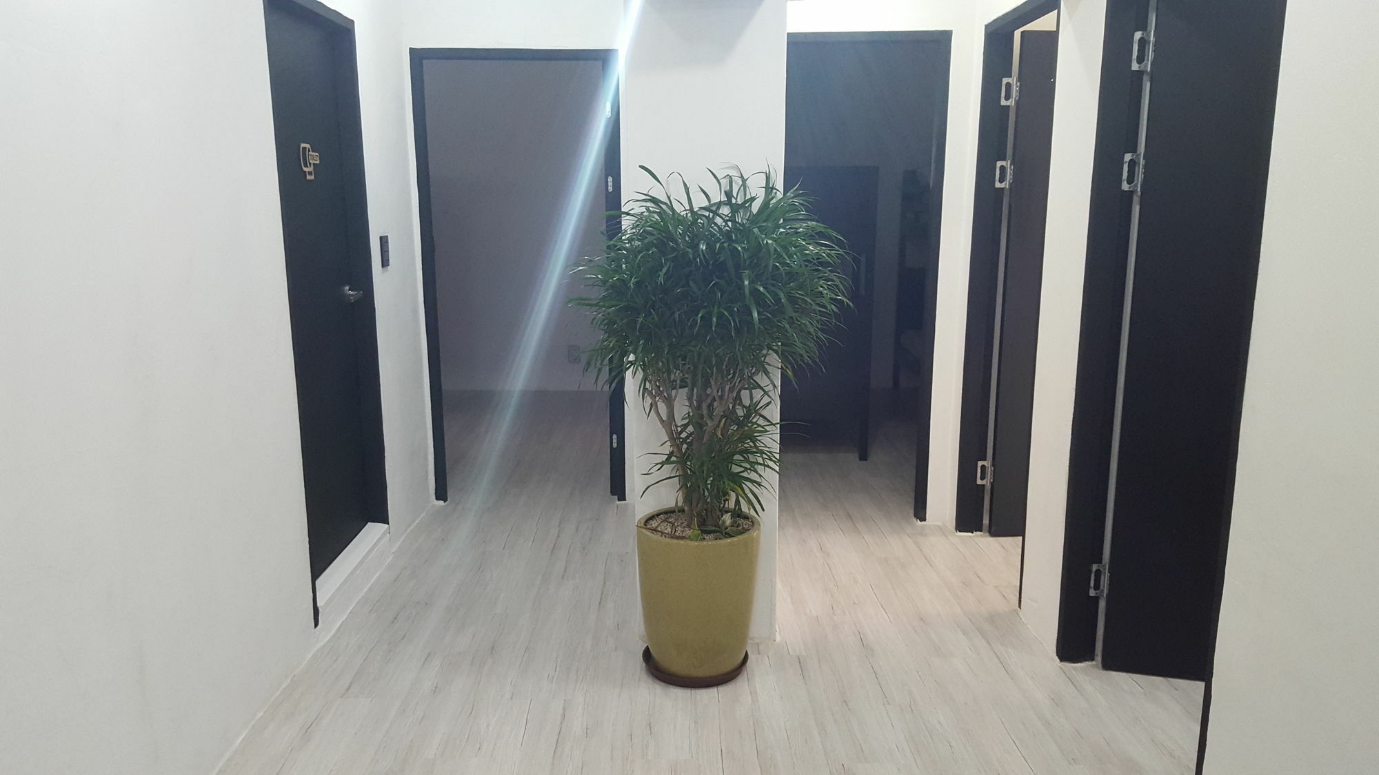 Amazon Guesthouse سيول المظهر الخارجي الصورة