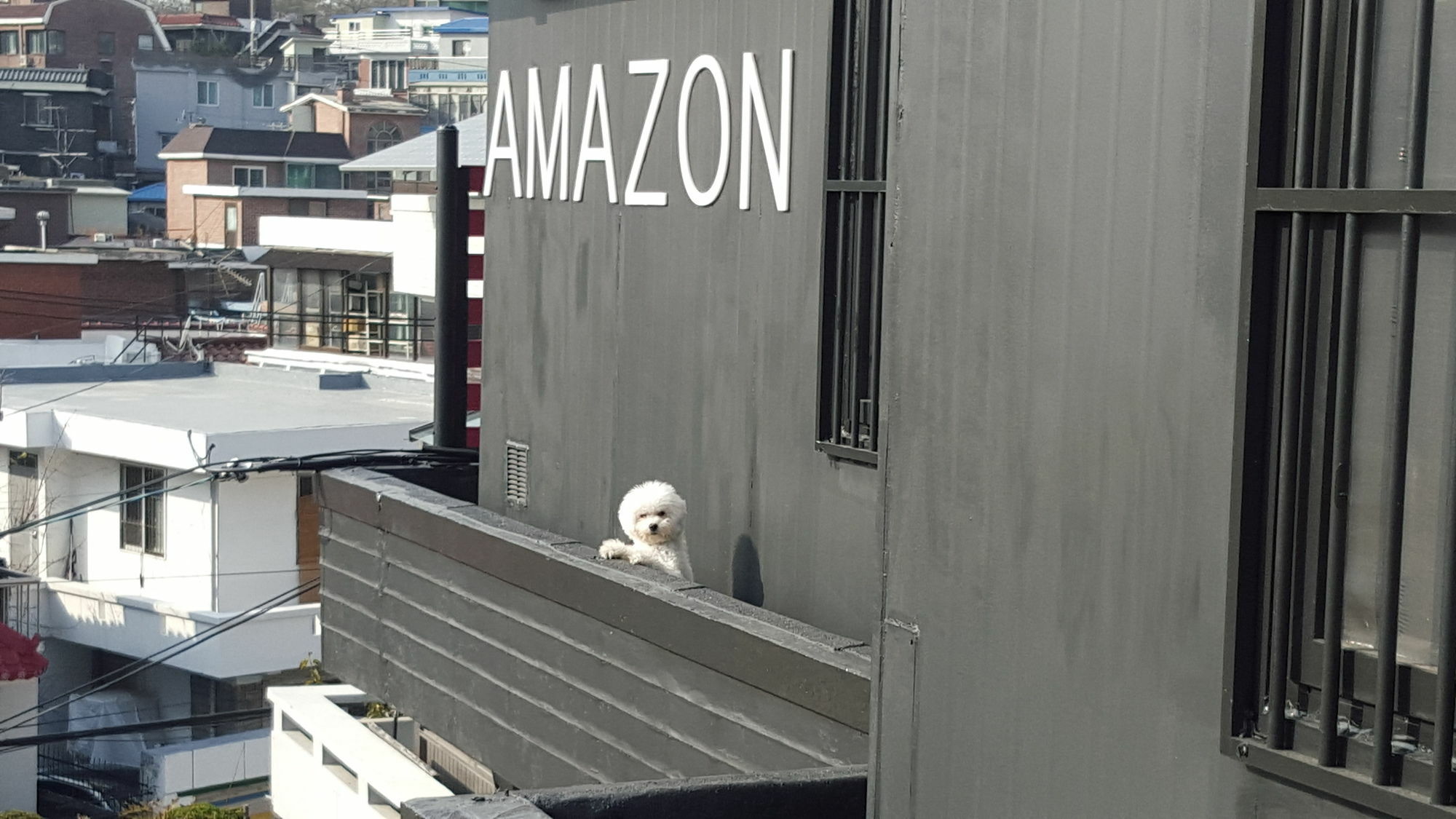 Amazon Guesthouse سيول المظهر الخارجي الصورة